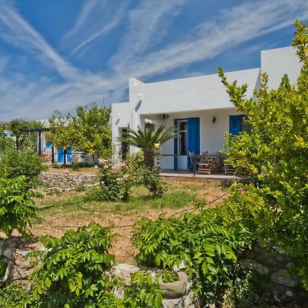 Pleiades Apartments Lefkos  Dış mekan fotoğraf