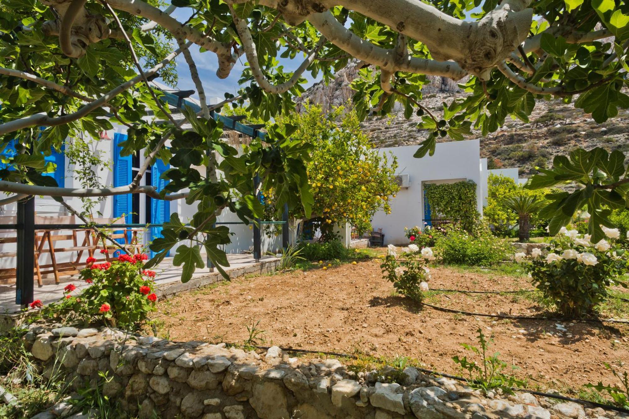 Pleiades Apartments Lefkos  Dış mekan fotoğraf