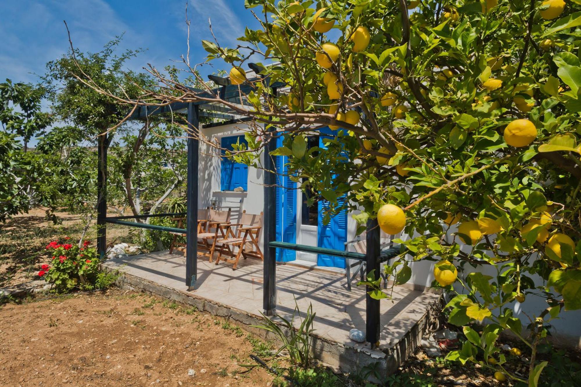 Pleiades Apartments Lefkos  Dış mekan fotoğraf