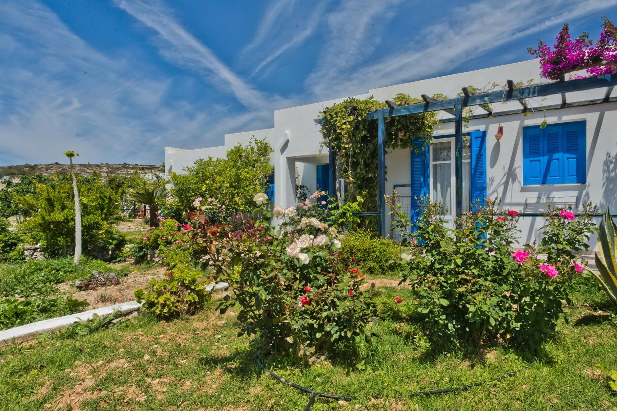 Pleiades Apartments Lefkos  Dış mekan fotoğraf